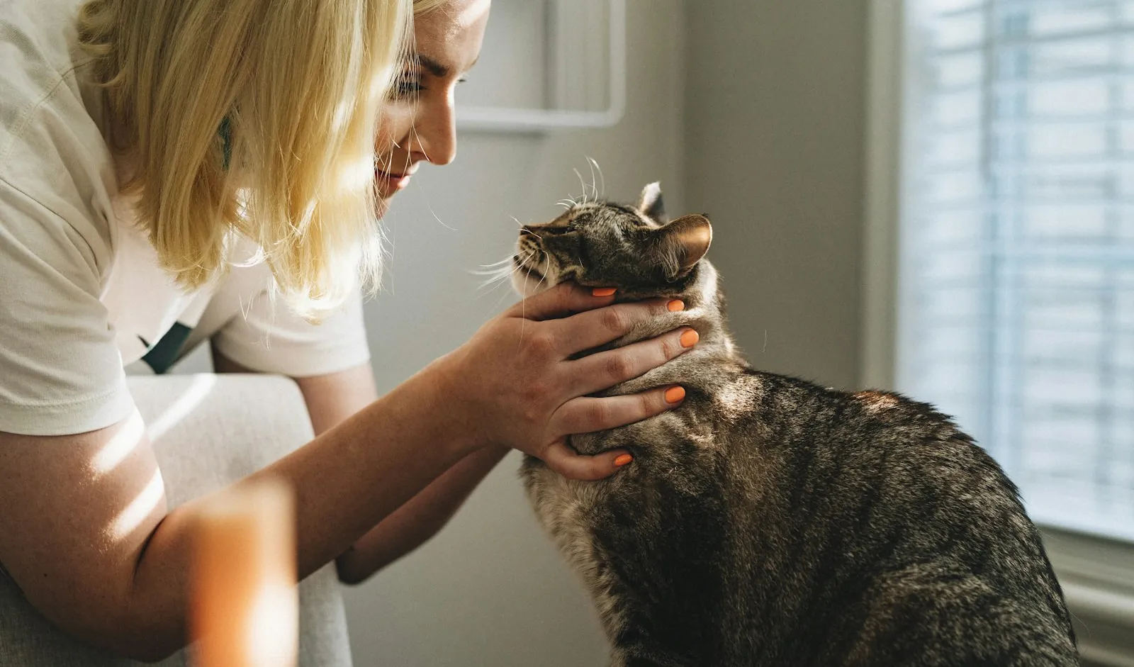Veterinária examinando um gato